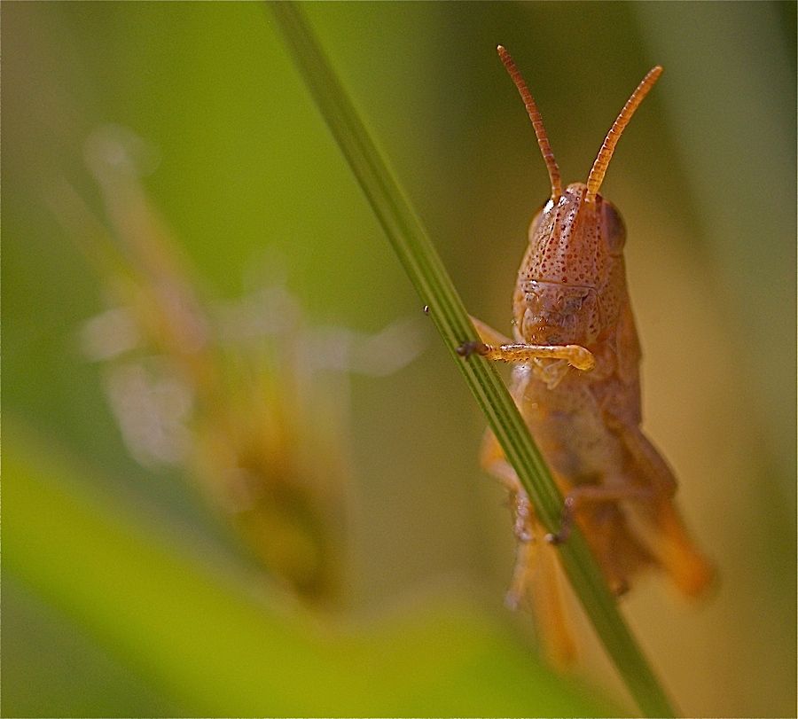 Fotografie