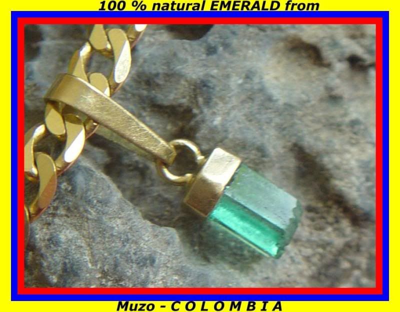Edel partnervermittlung flambeau single rifle hard case - PS3 Trophies Forum