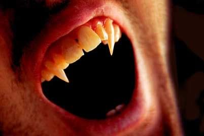 male fangs Pictures, Images and Photos