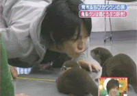Kamenashi Kazuya w/ Animals Pictures, Images and Photos