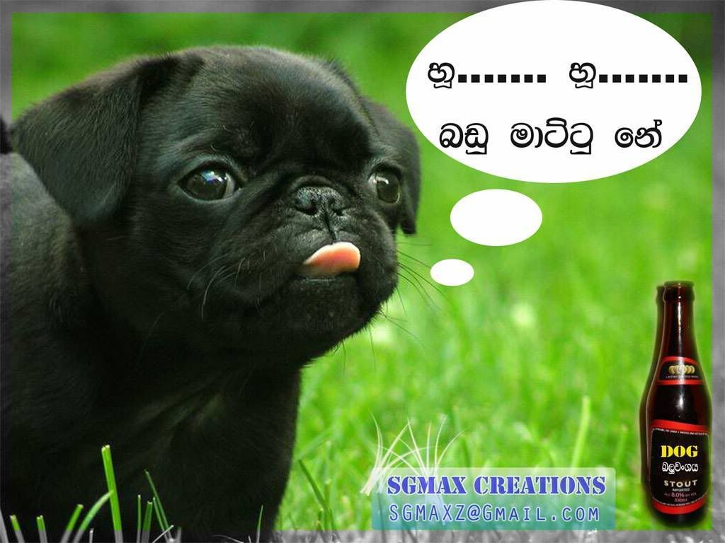 HO!!!! BADU MATTU NEDA????? - 05-06-2008, 11:08 AM