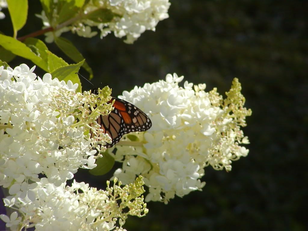 Share YOUR photography
