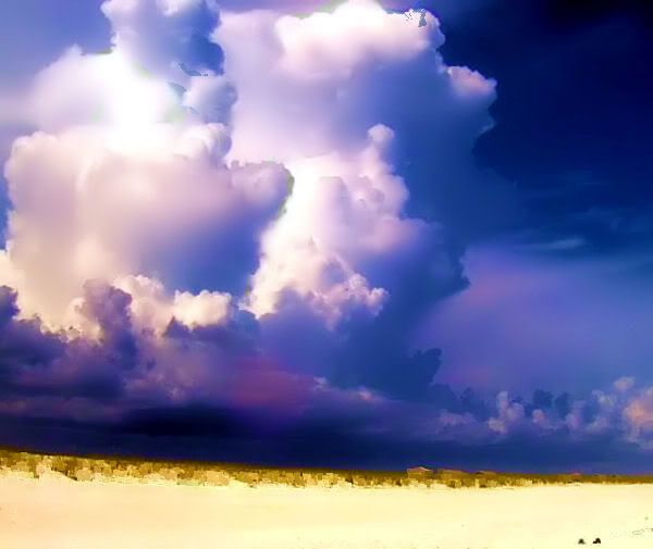 IMAGE: http://i299.photobucket.com/albums/mm297/dutadusupermom30/beachstorm-1.jpg