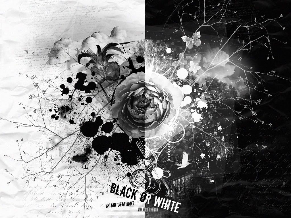 http://i299.photobucket.com/albums/mm297/lov3u4ever20989/black%20and%20white/Black_or_White_wallpaper_2_by_MrDea.jpg