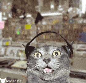 [Image: scary_headphones_cat.gif]