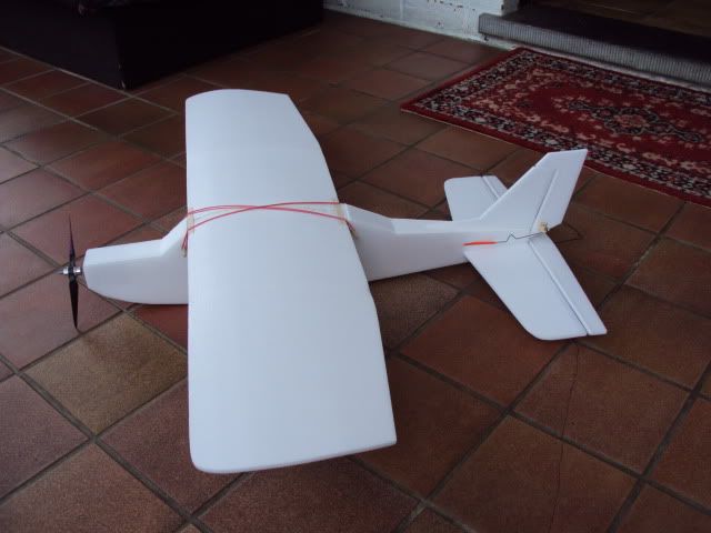 DSC00356.jpg