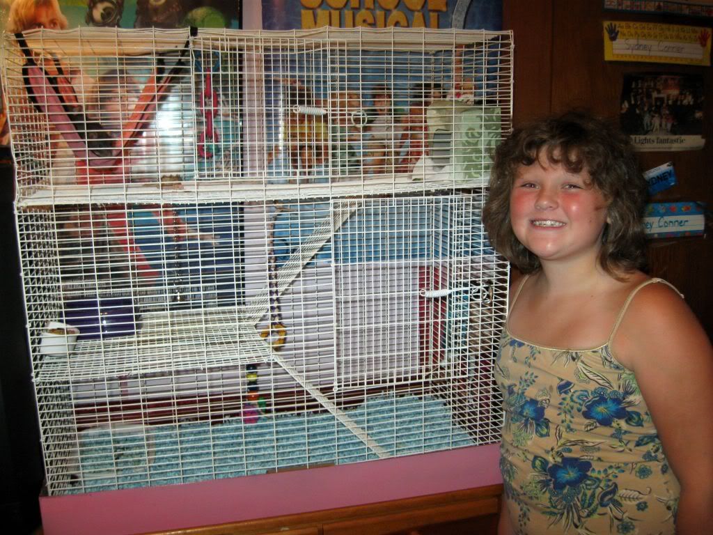 Dumbo rats? Found Breeder, pics added which to choose? BackYard Chickens