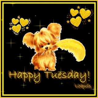 happy tuesday Pictures, Images and Photos
