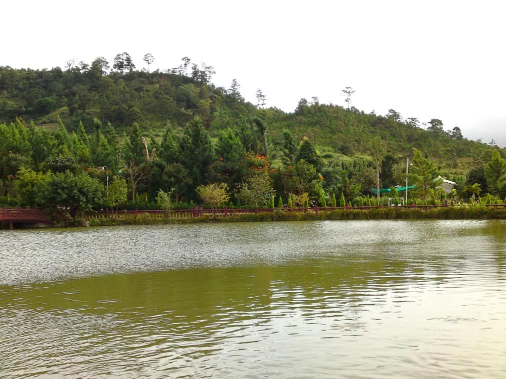 topic về những hình ảnh chụp bằng điện thoại di động - 3