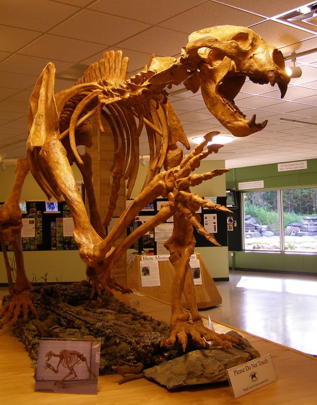 arctodus_skeleton.jpg