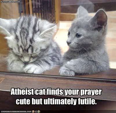 atheist_cat.jpg