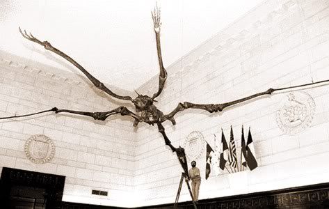 quetzalcoatlus.jpg