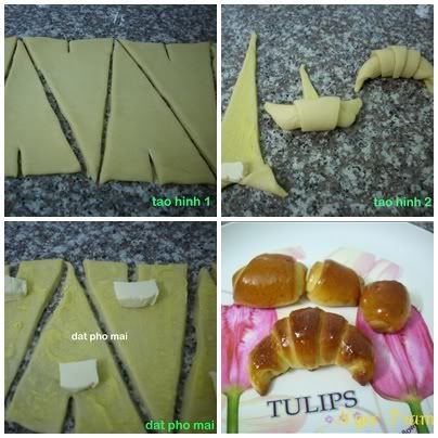tong hop 2 sung trau