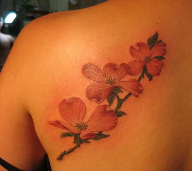 magnolia tree tattoo. magnolia tree tattoo. Dogwood Tree Tattoos; Dogwood Tree Tattoos