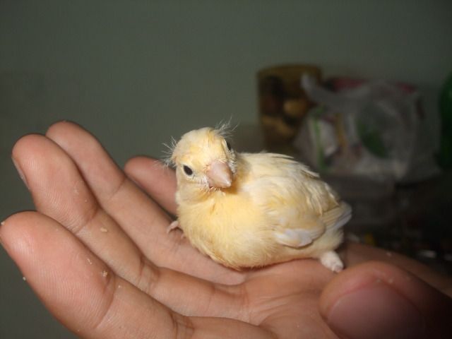 DSCF3041.jpg