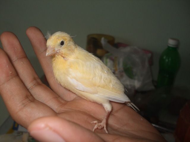 DSCF3042.jpg