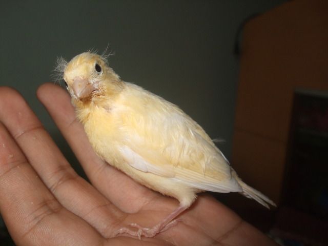 DSCF3043.jpg