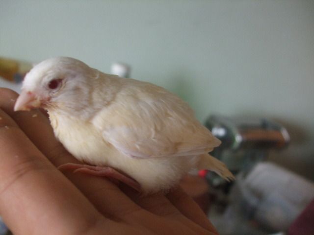 DSCF3044.jpg