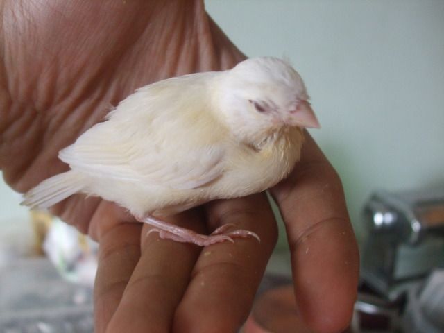 DSCF3045.jpg