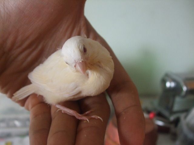 DSCF3046.jpg
