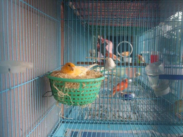 DSCF3346.jpg