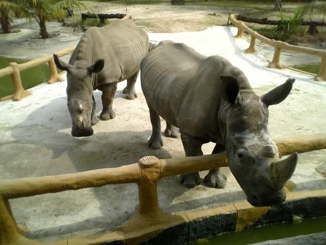 topic về những hình ảnh chụp bằng điện thoại di động