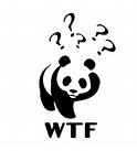 wtf Pictures, Images and Photos