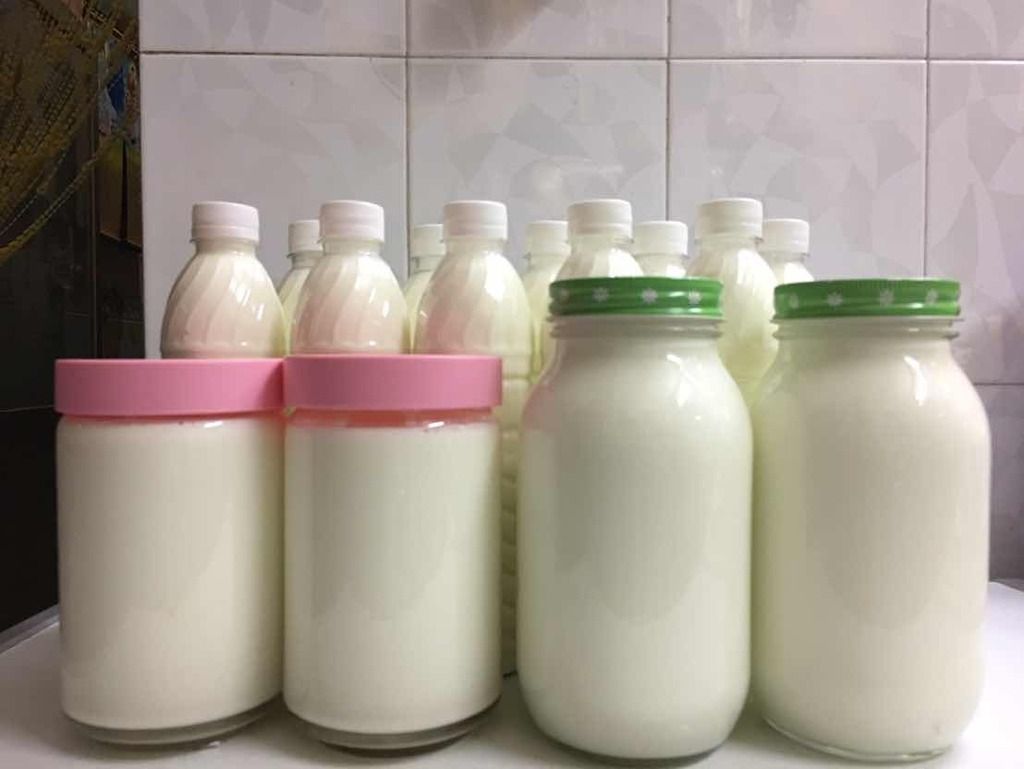 Sữa Dê Sạch Nguyên Chất 100% - 2