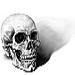 Skull.jpg