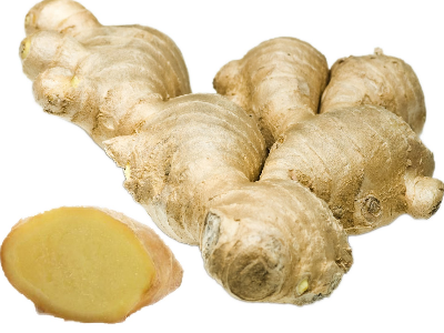Ginger
