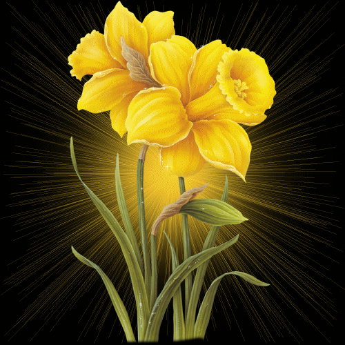 flornarcisos-lindas.png picture by el_mundo_de_marga