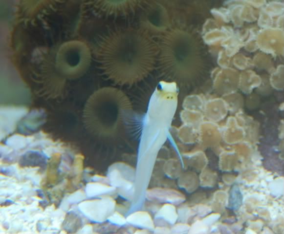 DSC_0115-1.jpg