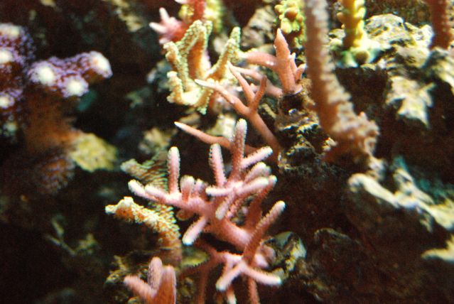 e9455828.jpg