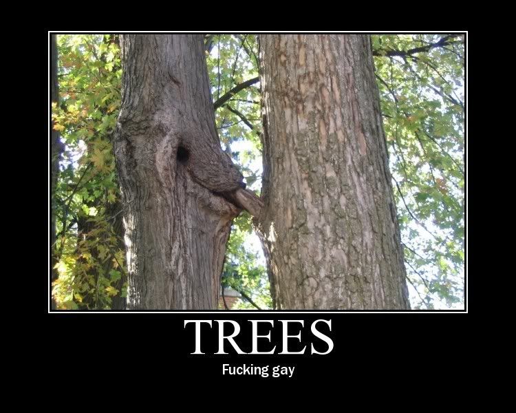 trees.jpg