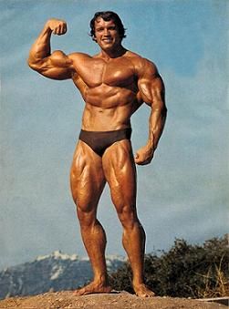 Arnold-Schwarzenegger-Bodybuilding-Photos.jpg