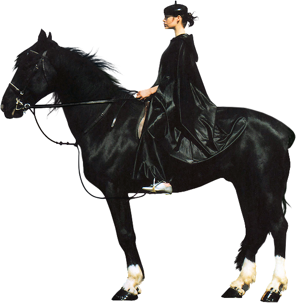 1Patries_VR343-ladyonhorse-fashion1999_20-1-11.png 