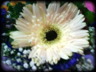 pretty flowers5