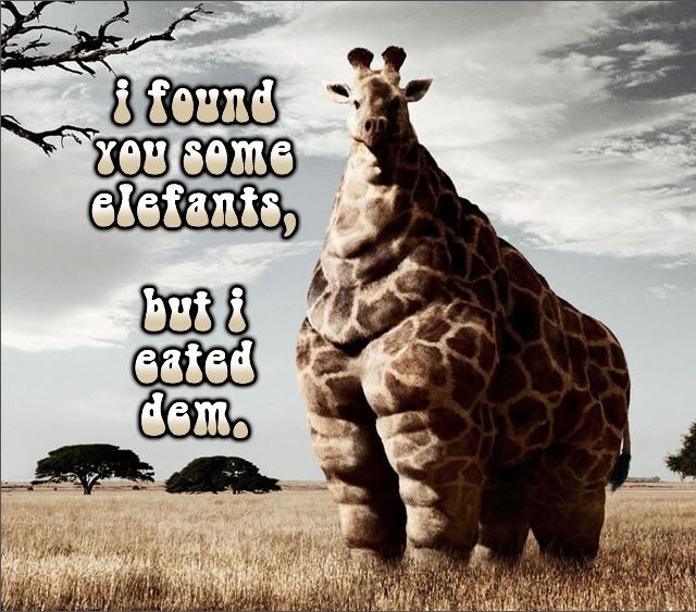 fat_giraffe.jpg