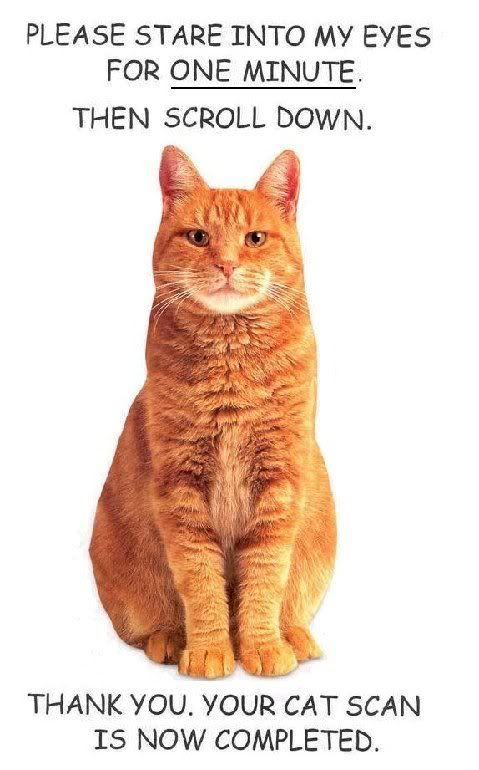 catscan.jpg Cat-scan