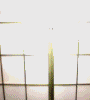 kristen3-6.gif
