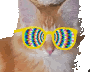 orangecat3.gif