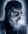 sub-zero2.jpg