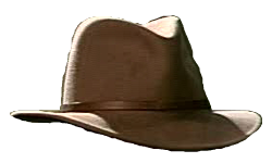 texhat1.png