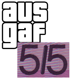 ausgaf5-2.png