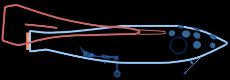 SS1a.png