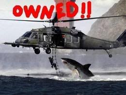 shark_owned