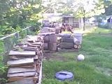 yardstack.jpg Next Years Heat image by NJTomatoguy