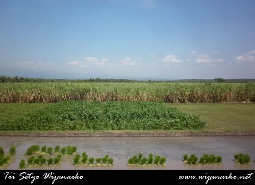Yogyakarta-Surabaya by Sancaka Yogyakarta-Surabaya by Sancaka