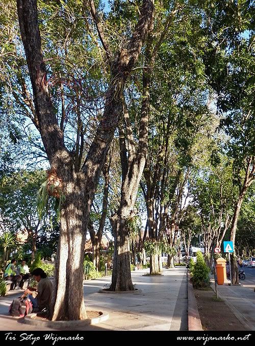 Taman Bungkul Surabaya Taman Bungkul Surabaya