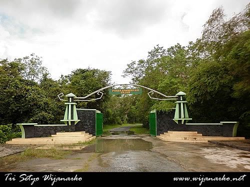 Pusat Latihan Gajah-Taman Nasional Way Kambas Pusat Latihan Gajah-Taman Nasional Way Kambas
